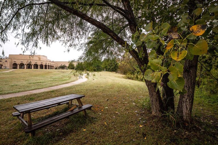 Inpatient Drug Rehab in Texas | Meadows Behavioral Healthcare