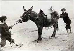 The Therapy Horse: Push vs Pull