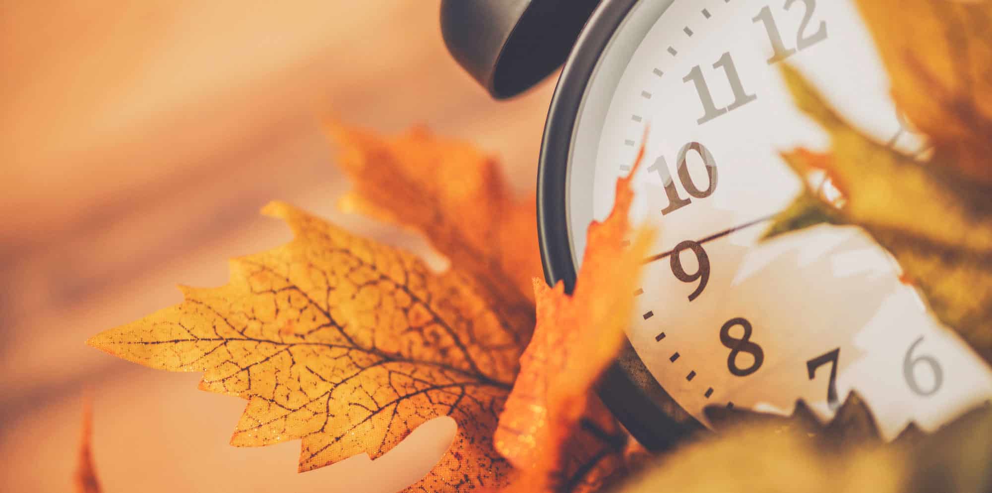 Daylight Saving: The Cost for Those Prone to SAD - The Meadows