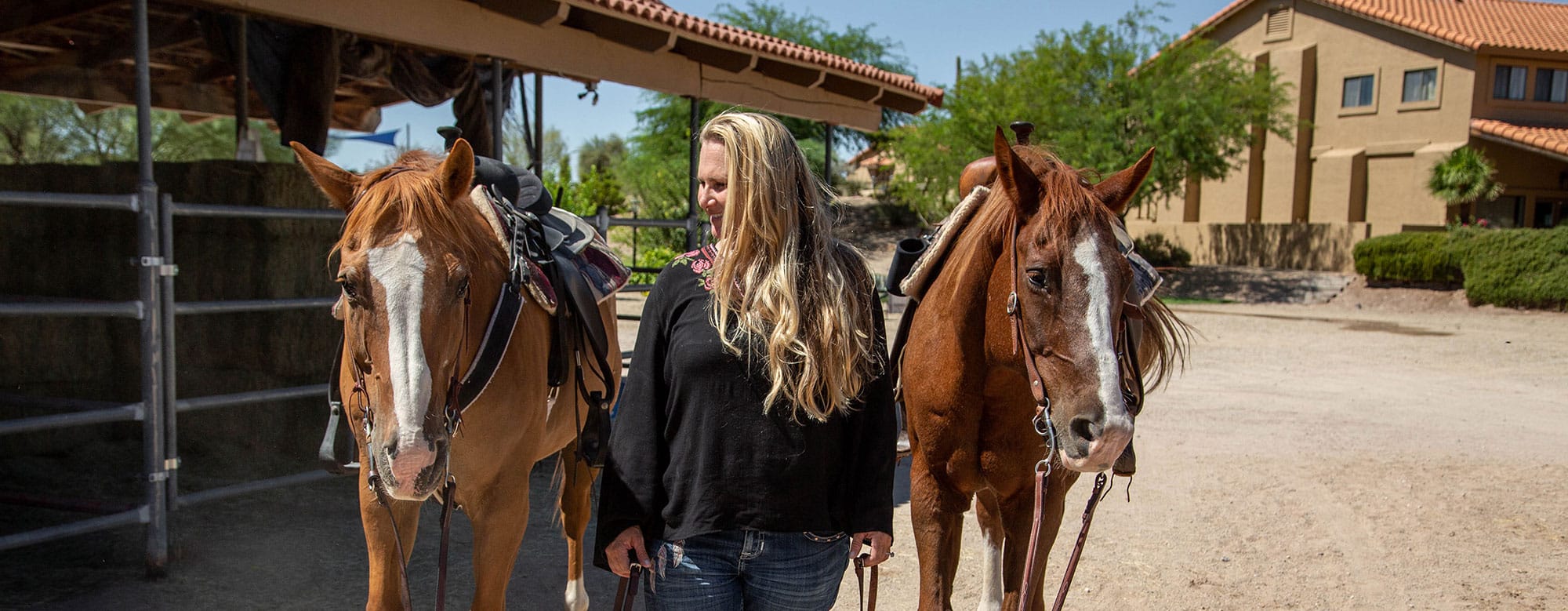 equine therapy