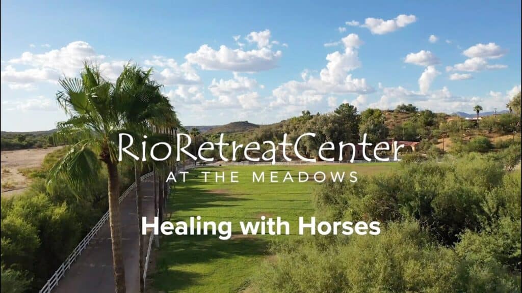 healing with horses at Rio Retreat Center